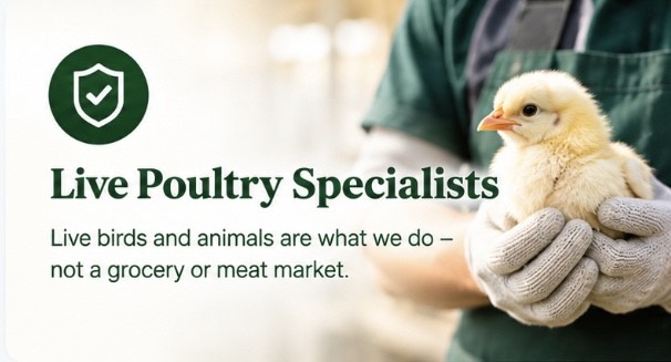 Live Poultry Specialists — Live birds and animals are what we do.